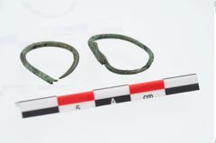 Foto von Bronzering (NHMW-PRAE-026421)